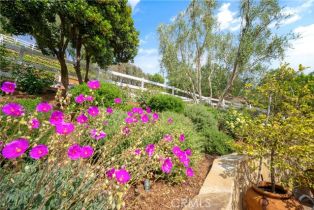 Single Family Residence, 5558 Hoback Glen rd, Hidden Hills , CA 91302 - 45