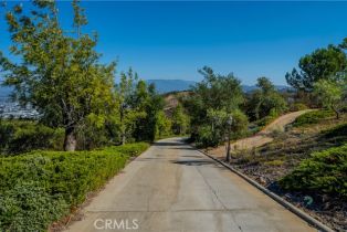 Single Family Residence, 26710 Camino Seco, Temecula, CA 92590 - 10