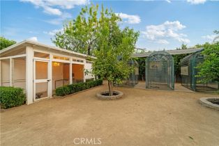 Single Family Residence, 23134 Collins st, Woodland Hills, CA 91367 - 32