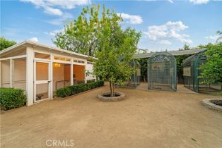 Single Family Residence, 23134 Collins st, Woodland Hills, CA 91367 - 34