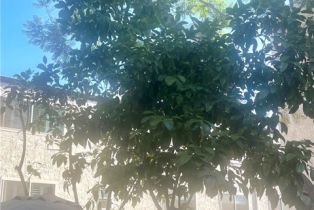 Townhouse, 22271 Erwin st, Woodland Hills, CA 91367 - 22