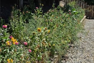 Single Family Residence, 3301 Blue Ridge ct, Thousand Oaks, CA 91362 - 16