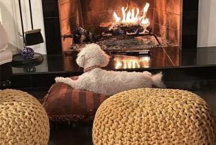 Single Family Residence, 3301 Blue Ridge ct, Thousand Oaks, CA 91362 - 37