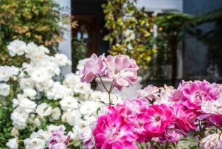 Single Family Residence, 6505 Smoke Tree ave, Oak Park, CA 91377 - 23