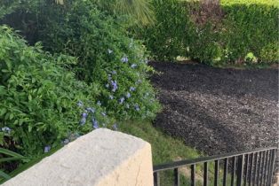 Single Family Residence, 5246 Calderon rd, Woodland Hills, CA 91364 - 12