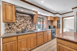 Single Family Residence, 5317 Lubao ave, Woodland Hills, CA 91364 - 15