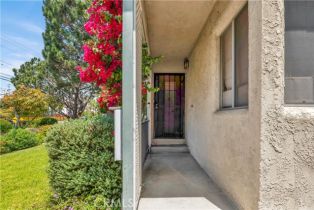 Residential Income, 2474 Penmar ave, Venice, CA 90291 - 28