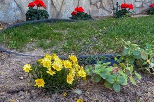 Single Family Residence, 17830 Arvida dr, Granada Hills, CA 91344 - 44