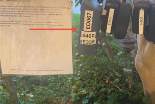 Condominium, 5460 White Oak ave, Encino, CA 91316 - 40