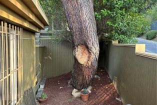 Single Family Residence, 3230 Wrightwood dr, Studio City, CA 91604 - 16