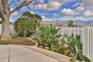 Single Family Residence, 2025 Buena Vista st, Burbank, CA 91504 - 3