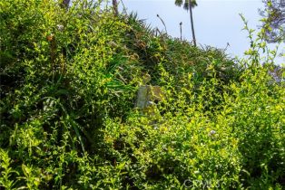 Single Family Residence, 3935 Oakfield dr, Sherman Oaks, CA 91423 - 57