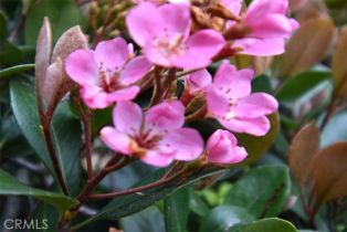 Townhouse, 13107 Mindanao way, Marina Del Rey, CA 90292 - 44