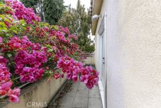 Single Family Residence, 4343 Shadyglade ave, Studio City, CA 91604 - 26