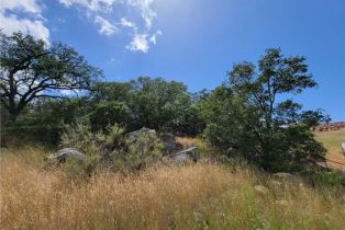 , 0 Lions Lair, Murrieta, CA 92562 - 11