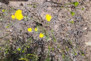 , 0 Lions Lair, Murrieta, CA 92562 - 8