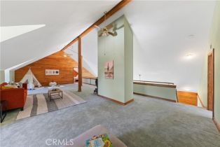 Single Family Residence, 36100 Butterfly Peak rd, Mountain Center, CA 92561 - 20