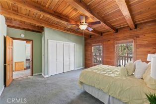 Single Family Residence, 36100 Butterfly Peak rd, Mountain Center, CA 92561 - 25