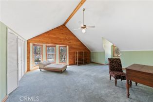 Single Family Residence, 36100 Butterfly Peak rd, Mountain Center, CA 92561 - 29