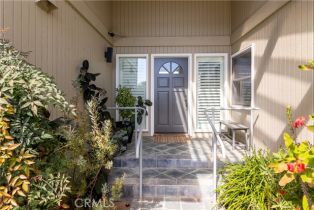 Single Family Residence, 1249 Olive ave, Fallbrook, CA 92028 - 7