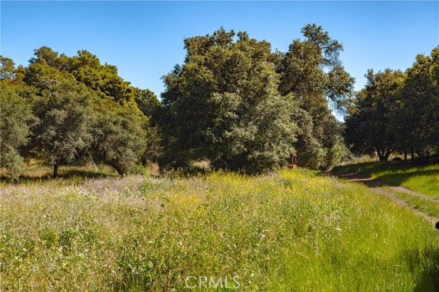 , 6 Avenida Del Oro, Temecula, CA 92590 - 1