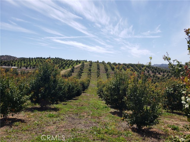 , 7 Calle Jardin, Temecula, CA 92590 - 1