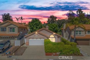 Single Family Residence, 24490 Calle San Vicente, CA  , CA 92562