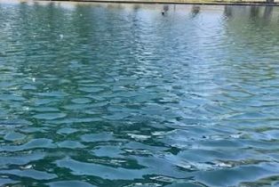 Single Family Residence, 25590 Washington ave, Murrieta, CA 92562 - 27