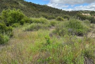 , 0 Hombre ln, Murrieta, CA 92562 - 11