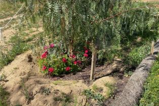 , 39682 Via Cacho, Temecula, CA 92592 - 66