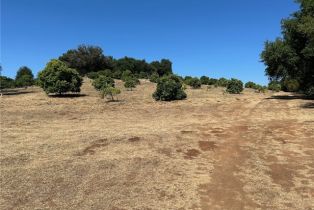 , 15 Camino Estribo, Temecula, CA 92590 - 2