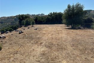 , 15 Camino Estribo, Temecula, CA 92590 - 4