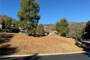 , 22171 Twin Oaks ct, Murrieta, CA 92562 - 9