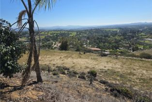 , 1387 Las Vistas rd, Fallbrook, CA 92028 - 20