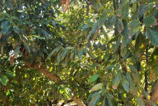 , 43520 Calle Colina, Temecula, CA 92590 - 6