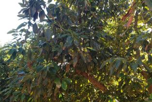 , 43520 Calle Colina, Temecula, CA 92590 - 7