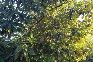 , 43520 Calle Colina, Temecula, CA 92590 - 8