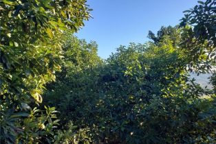 , 43520 Calle Colina, Temecula, CA 92590 - 9