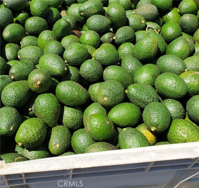 , 43520 Calle Colina, Temecula, CA 92590 - 1