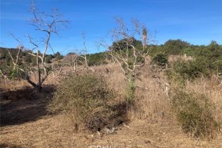 , 10 Carancho rd, Temecula, CA 92590 - 3