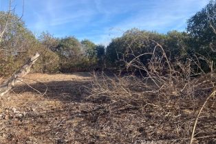 , 10 Carancho rd, Temecula, CA 92590 - 8