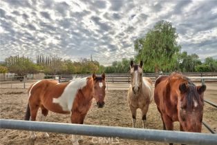 Single Family Residence, 37055 De Portola Road, Temecula, CA 92592 - 40