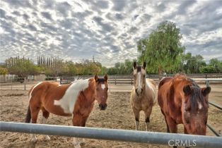 Single Family Residence, 37055 De Portola Road, Temecula, CA 92592 - 41