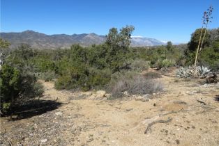 , 155 Lot #155 Buckthorn, Mountain Center, CA 92561 - 10