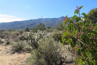 , 155 Lot #155 Buckthorn, Mountain Center, CA 92561 - 2