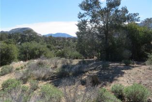 , 155 Lot #155 Buckthorn, Mountain Center, CA 92561 - 3