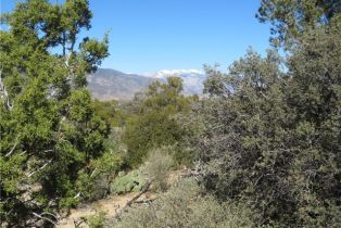 , 155 Lot #155 Buckthorn, Mountain Center, CA 92561 - 4
