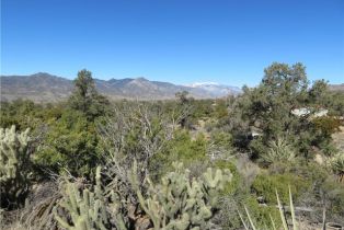 , 155 Lot #155 Buckthorn, Mountain Center, CA 92561 - 5