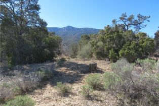 , 155 Lot #155 Buckthorn, Mountain Center, CA 92561 - 6