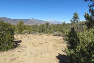 Land, 155 Lot #155 Buckthorn, Mountain Center, CA  Mountain Center, CA 92561